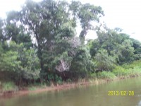 /album/galeria-de-fotos/rosy-302-jpg/